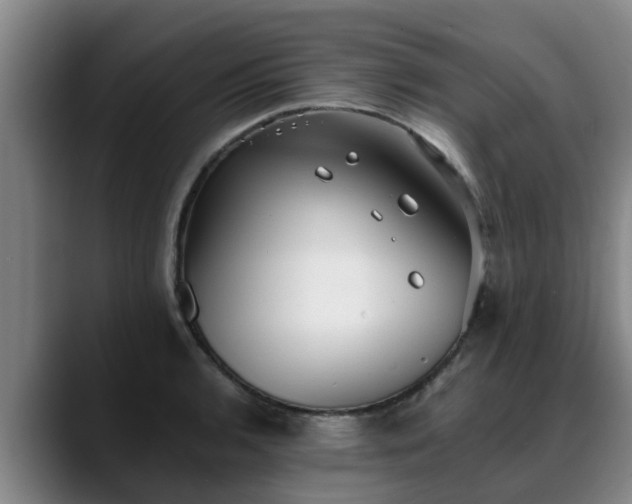 X0000088841136200706141534