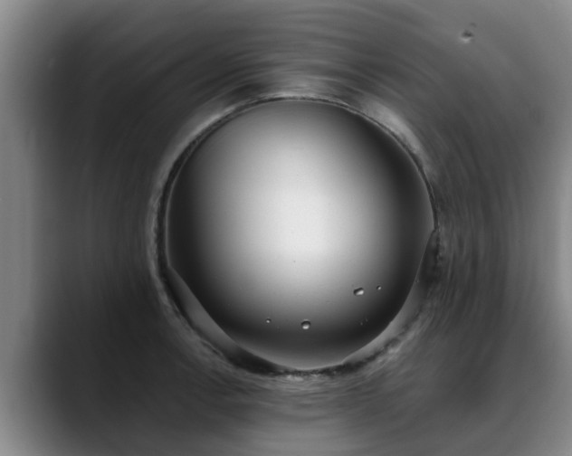 X0000088841138200706141534