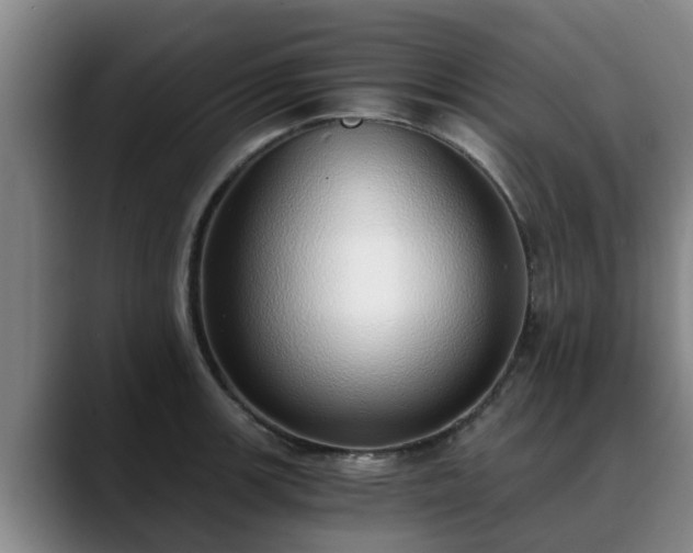 X0000088841139200706141534