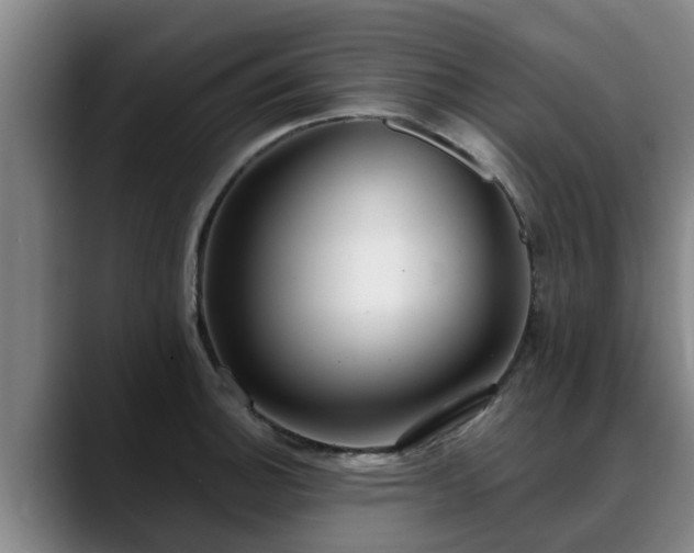 X0000088841140200706141534