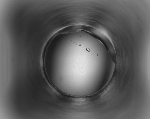 X0000088841141200706141534