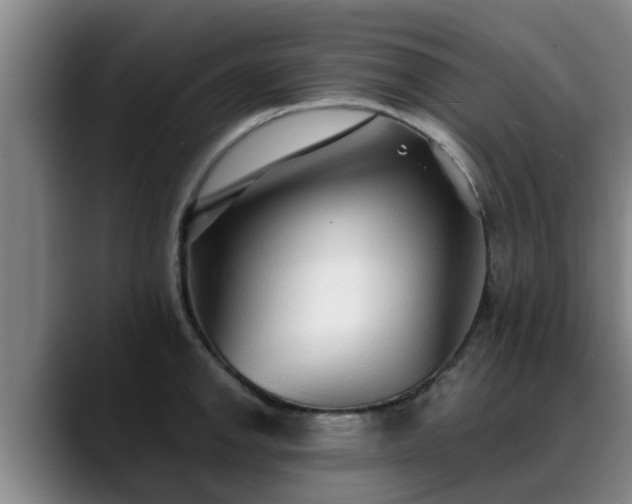 X0000088841142200706141534