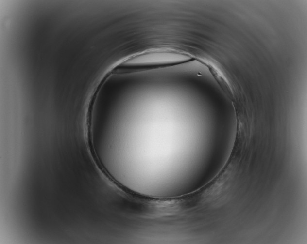 X0000088841143200706141534