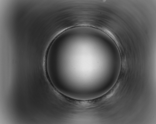 X0000088841149200706141534