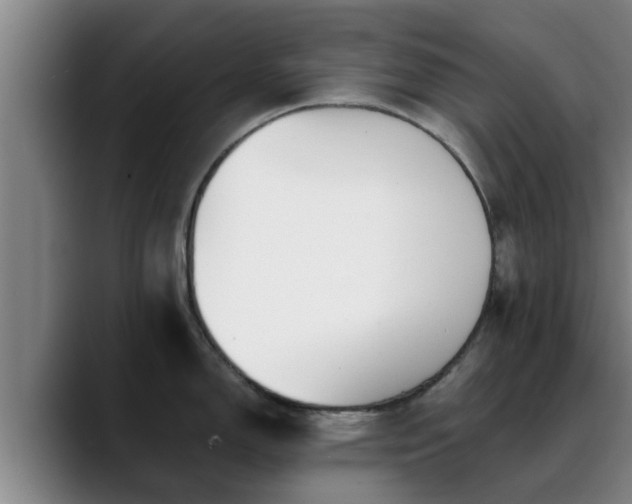 X0000088841150200706141534