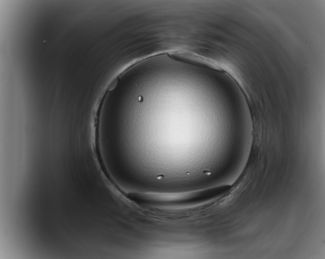 X0000088841151200706141534