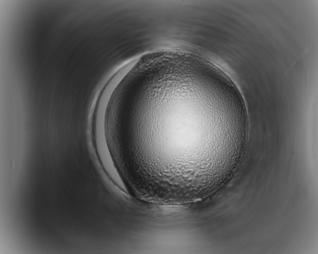 X0000088841152200706141534