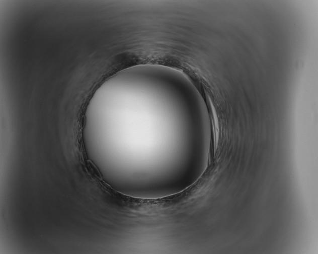 X0000088841153200706141533