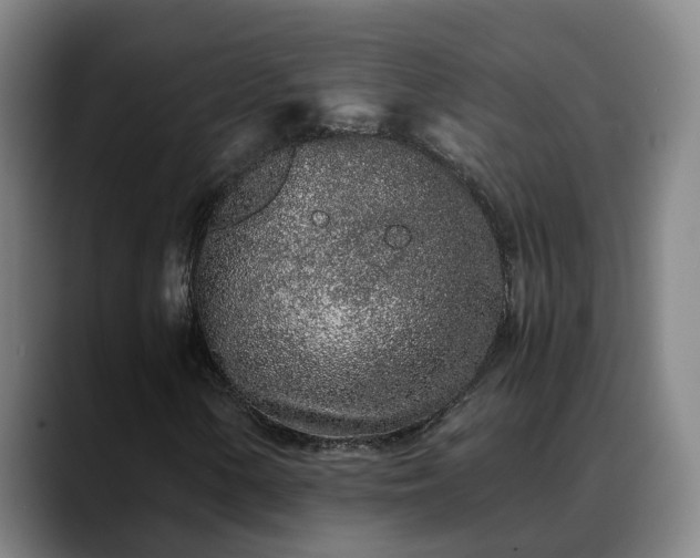 X0000088841154200706141533