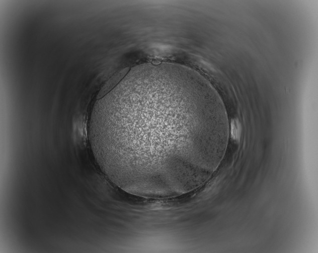 X0000088841155200706141533