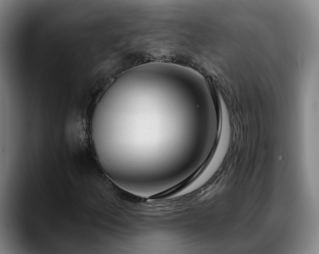 X0000088841156200706141533