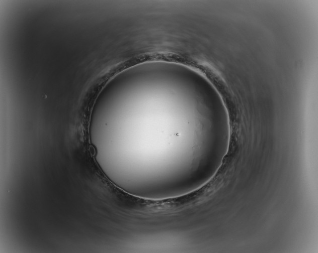 X0000088841159200706141533