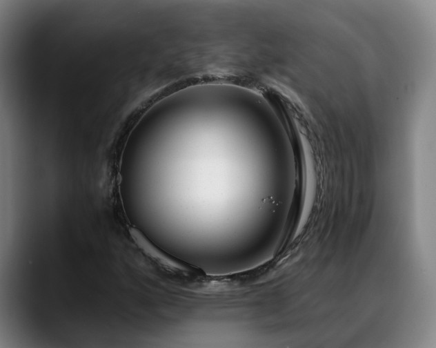 X0000088841160200706141533