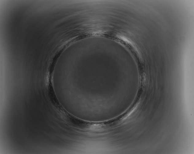 X0000088841161200706141533