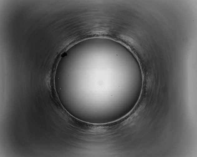 X0000088841162200706141533