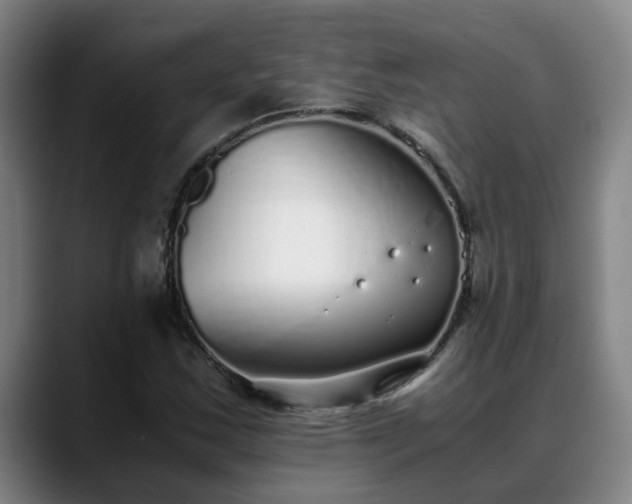 X0000088841163200706141533