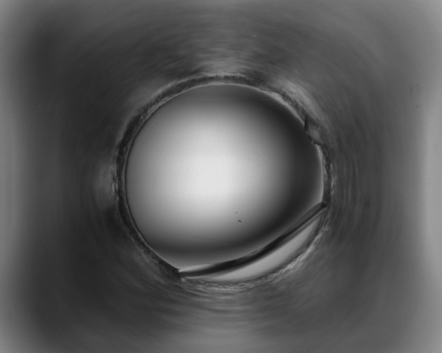 X0000088841164200706141533