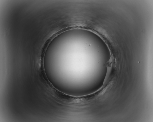 X0000088841165200706141533