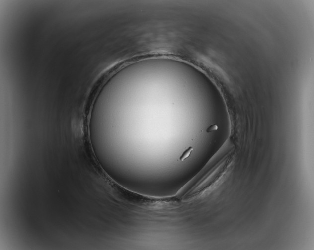 X0000088841166200706141533