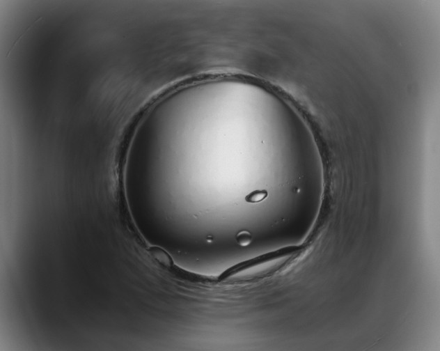 X0000088841167200706141533