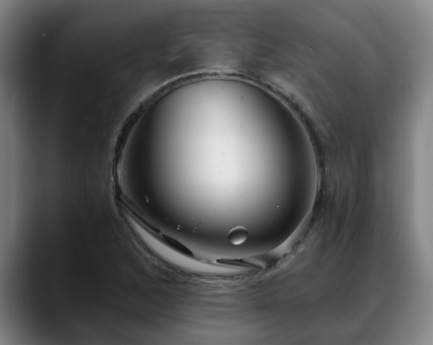 X0000088841168200706141533