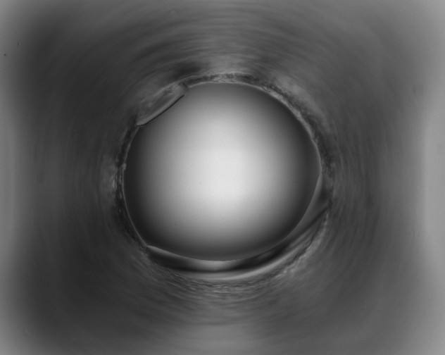 X0000088841169200706141533