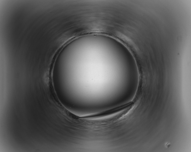 X0000088841170200706141533