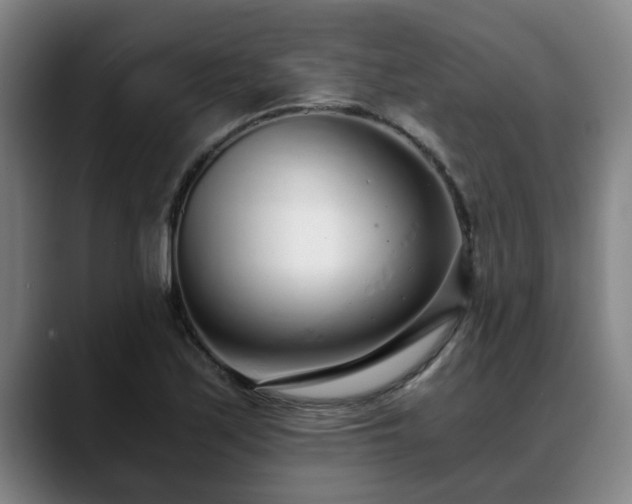 X0000088841171200706141533