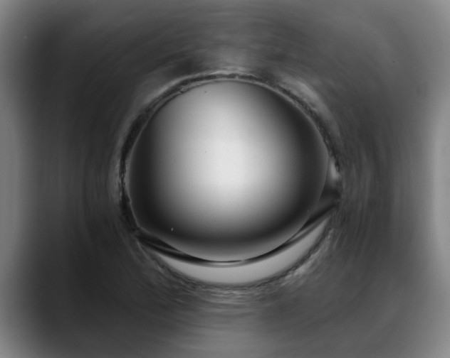 X0000088841172200706141533