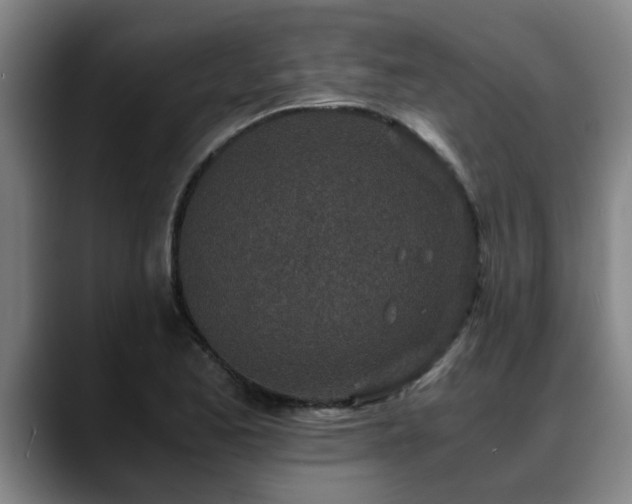 X0000088841173200706141533