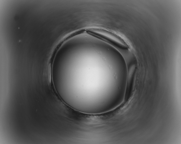 X0000088841175200706141533