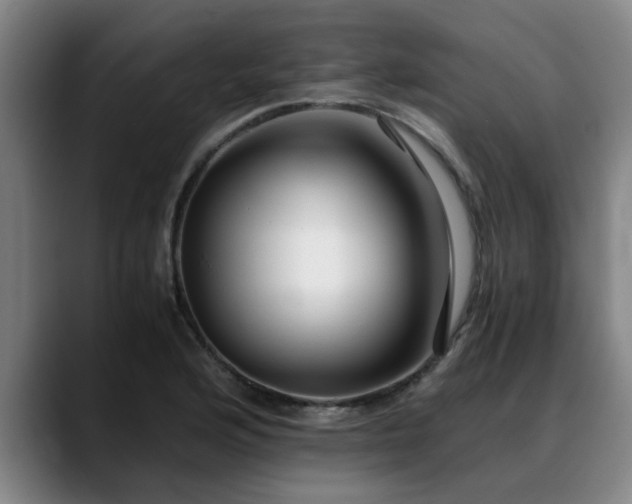 X0000088841176200706141533