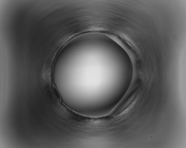 X0000088841177200706141533