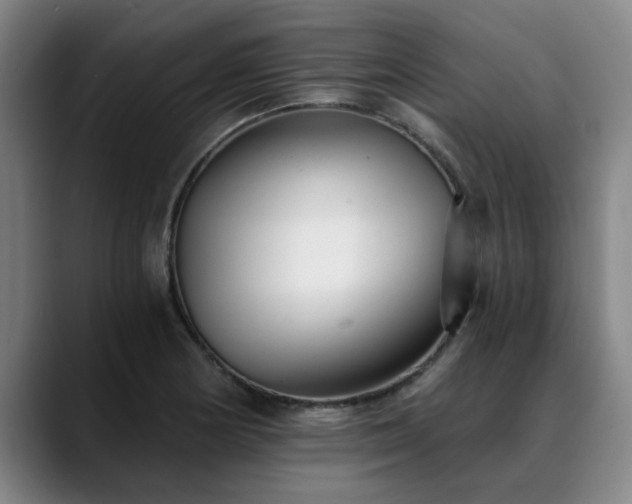 X0000088841178200706141533