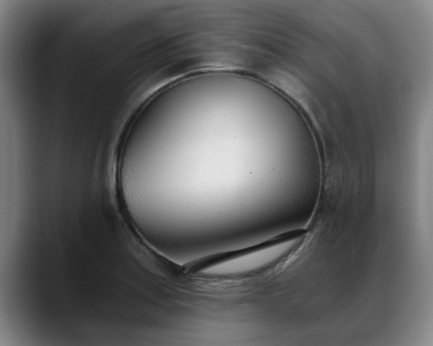 X0000088841179200706141533