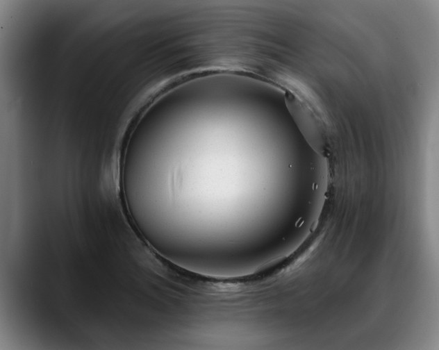 X0000088841180200706141533