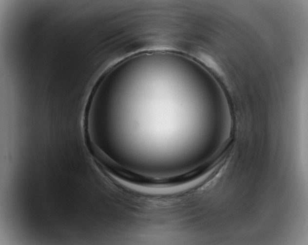 X0000088841181200706141533