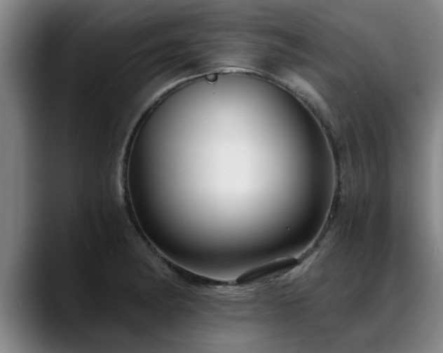 X0000088841182200706141533