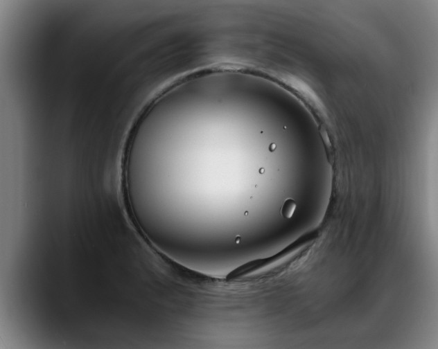 X0000088841183200706141533