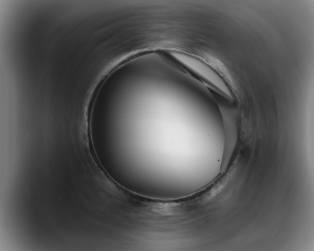 X0000088841184200706141533