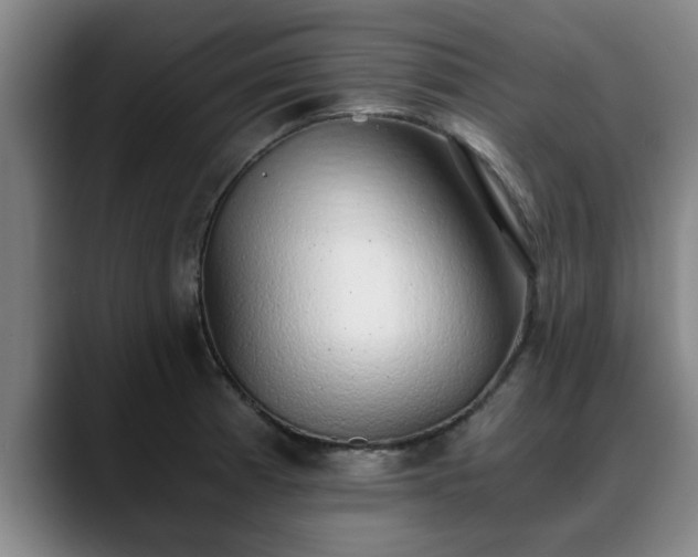 X0000088841185200706141533