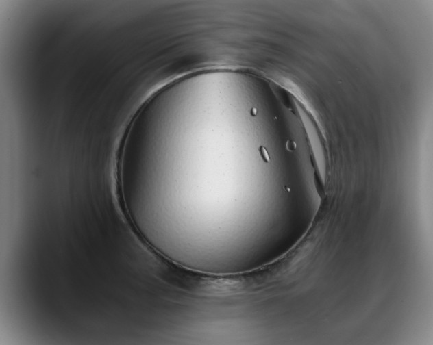 X0000088841187200706141533