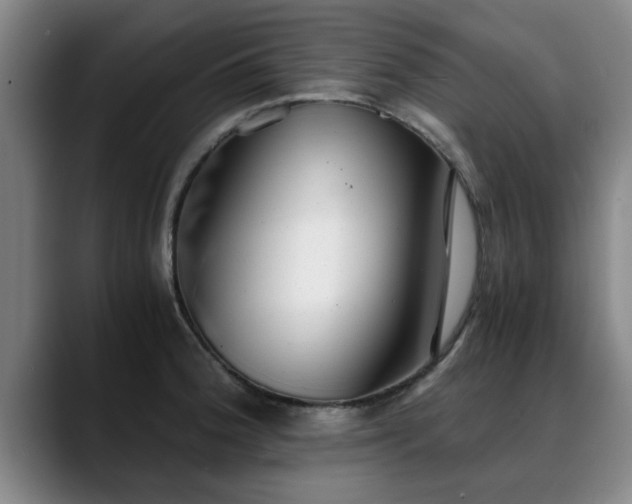 X0000088841188200706141533