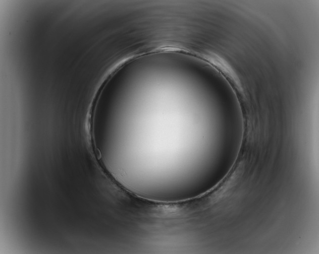 X0000088841190200706141533