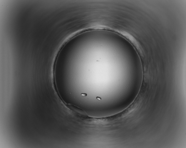 X0000088841191200706141533