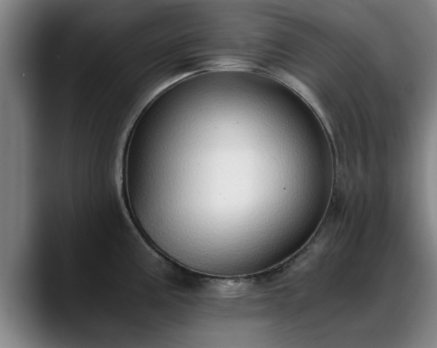 X0000088841195200706141533