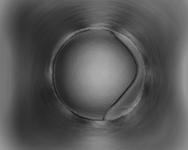 X0000088841196200706141533