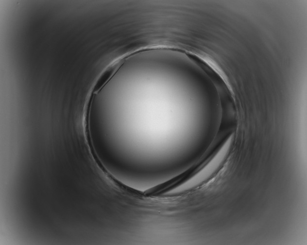 X0000088841197200706141533