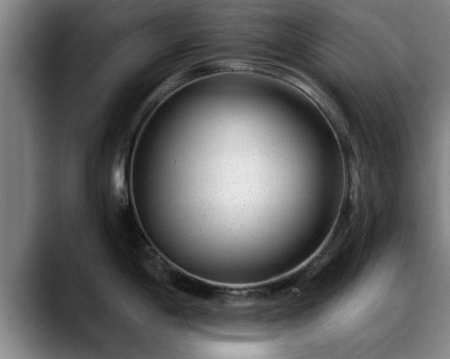 X0000088841198200706141533