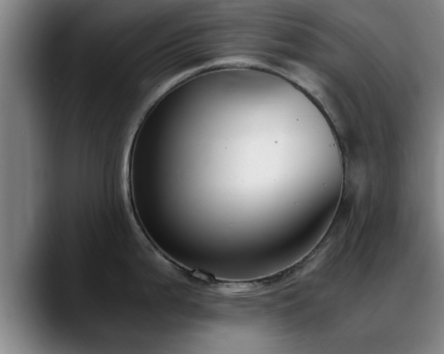 X0000088841199200706141533